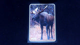 2024 Topps Heritage #75Z-15 Moose 1975 Topps Zoo's Who Stick-Ons