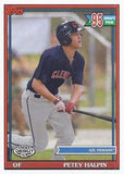 2021 Topps Pro Debut #PD-184 Petey Halpin