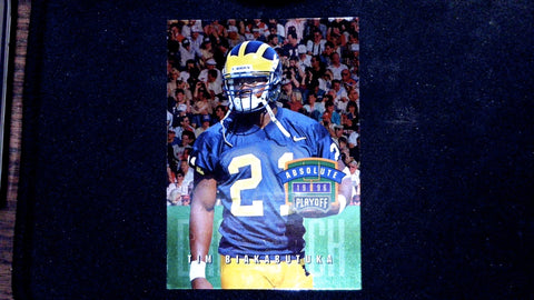 1996 Playoff Absolute #194 Tim Biakabutuka
