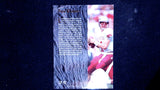 1993 Classic Four Sport #LP10 Drew Bledsoe Limited Prints