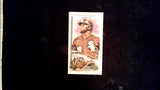 2022 Topps Allen & Ginter #2 Luis Robert Mini