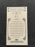 2010 Topps Allen & Ginter #NA10 Bull / Spain Mini National Animals