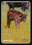 2024 Topps Heritage - 1975 Topps Zoo's Who Stick-Ons #75Z-19 Baby Bull