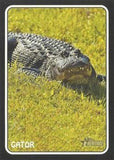 2024 Topps Heritage - 1975 Topps Zoo's Who Stick-Ons #75Z-18 Gator