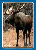 2024 Topps Heritage - 1975 Topps Zoo's Who Stick-Ons Blue #75Z-15 Moose