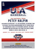 2018 Panini USA Baseball Stars & Stripes #65 Petey Halpin