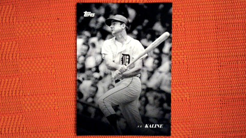 2022 Topps Black & White #73 Al Kaline