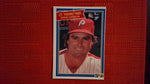 1981 Donruss #481 Steve Carlton Baseball Default Title