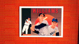 1991 Upper Deck Baseball Heroes #36 Ted Williams Default Title
