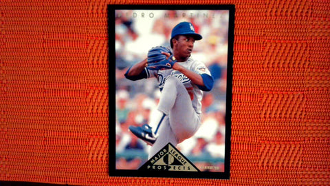 1994 Upper Deck Collector's Choice #189 Pedro Martinez Default Title