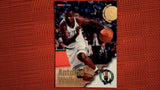 1996-97 Hoops Basketball #312 Antoine Walker Rookie Default Title