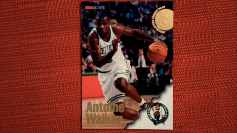 1996-97 Hoops Basketball #312 Antoine Walker Rookie Default Title
