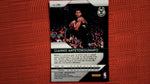 2018-19 Panini Prizm Basketball #296 Giannis Antetokounmpo Base Default Title