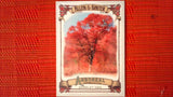 2021 Topps Allen & Ginter: #AA-10 Scarlet Oak (Arboreal Appreciation Set) Default Title