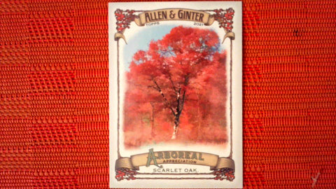2021 Topps Allen & Ginter: #AA-10 Scarlet Oak (Arboreal Appreciation Set) Default Title