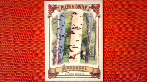 2021 Topps Allen & Ginter: #AA-11 Black Birch (Arboreal Appreciation Set) Default Title