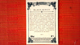 2021 Topps Allen & Ginter: #AA-11 Black Birch (Arboreal Appreciation Set) Default Title