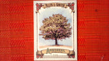 2021 Topps Allen & Ginter: #AA-12 Pine (Arboreal Appreciation Set) Default Title