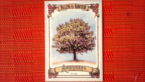 2021 Topps Allen & Ginter: #AA-12 Pine (Arboreal Appreciation Set) Default Title