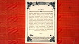 2021 Topps Allen & Ginter: #AA-12 Pine (Arboreal Appreciation Set) Default Title