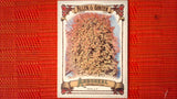 2021 Topps Allen & Ginter: #AA-13 Holly (Arboreal Appreciation Set) Default Title