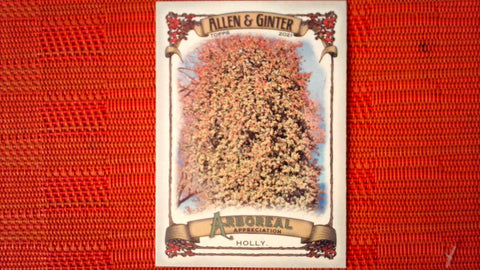 2021 Topps Allen & Ginter: #AA-13 Holly (Arboreal Appreciation Set) Default Title