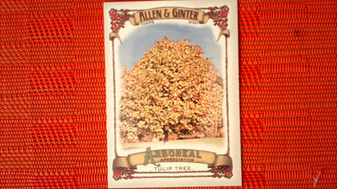 2021 Topps Allen & Ginter: #AA-14 Tulip Tree (Arboreal Appreciation Set) Default Title
