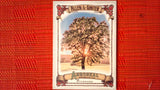 2021 Topps Allen & Ginter: #AA-2 Sycamore (Arboreal Appreciation Set) Default Title