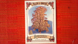 2021 Topps Allen & Ginter: #AA-3 Silver Maple (Arboreal Appreciation Set) Default Title