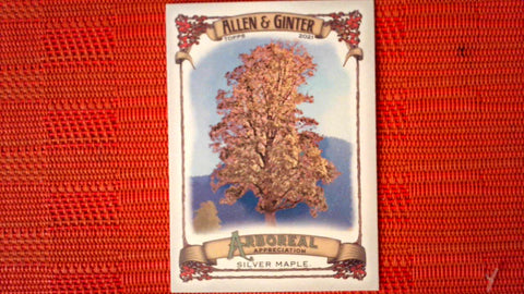 2021 Topps Allen & Ginter: #AA-3 Silver Maple (Arboreal Appreciation Set) Default Title
