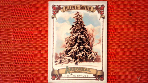 2021 Topps Allen & Ginter: #AA-4 White Spruce (Arboreal Appreciation Set) Default Title