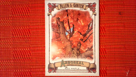 2021 Topps Allen & Ginter: #AA-5 Red Maple (Arboreal Appreciation Set) Default Title