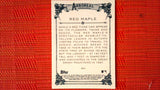 2021 Topps Allen & Ginter: #AA-5 Red Maple (Arboreal Appreciation Set) Default Title
