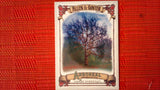 2021 Topps Allen & Ginter: #AA-6 Horse Chestnut (Arboreal Appreciation Set) Default Title