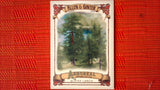 2021 Topps Allen & Ginter: #AA-7 Alpine Larch (Arboreal Appreciation Set) Default Title