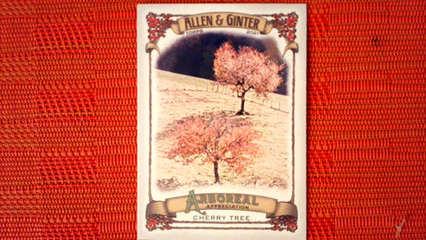 2021 Topps Allen & Ginter: #AA-8 Cherry Tree (Arboreal Appreciation Set) Default Title