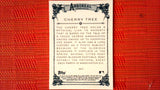 2021 Topps Allen & Ginter: #AA-8 Cherry Tree (Arboreal Appreciation Set) Default Title