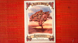 2021 Topps Allen & Ginter: #AA-9 Arbutus (Arboreal Appreciation Set) Default Title