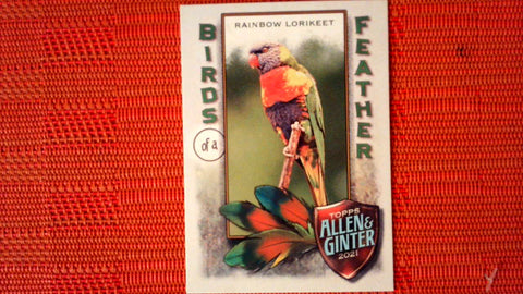 2021 Topps Allen & Ginter: #BOF-10 Rainbow Lorikeet (Birds of a Feather Set) Default Title