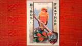 2021 Topps Allen & Ginter: #BOF-2 Sun Conure (Birds of a Feather Set) Default Title
