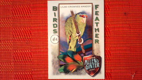 2021 Topps Allen & Ginter: #BOF-5 Lilac-Crowned Amazon (Birds of a Feather Set) Default Title