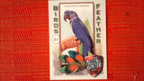 2021 Topps Allen & Ginter: #BOF-6 Hyacinth Macaw (Birds of a Feather Set) Default Title