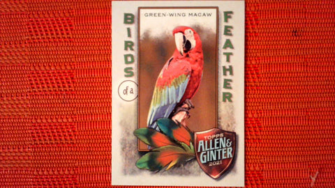 2021 Topps Allen & Ginter: #BOF-8 Green-Wing Macaw (Birds of a Feather Set) Default Title