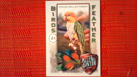 2021 Topps Allen & Ginter: #BOF-9 Orange-Bellied Parrot (Birds of a Feather Set) Default Title