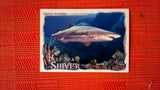 2021 Topps Allen & Ginter: #DSS-10 Sand Shark (Deep Sea Shiver Set) Default Title