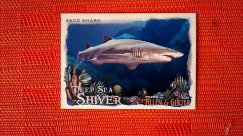2021 Topps Allen & Ginter: #DSS-10 Sand Shark (Deep Sea Shiver Set) Default Title
