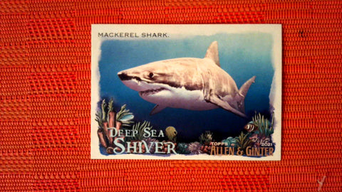 2021 Topps Allen & Ginter: #DSS-11 Mackerel Shark (Deep Sea Shiver Set) Default Title