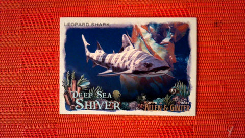 2021 Topps Allen & Ginter: #DSS-12 Leopard Shark (Deep Sea Shiver Set) Default Title