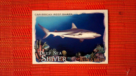 2021 Topps Allen & Ginter: #DSS-13 Caribbean Reef Shark (Deep Sea Shiver Set) Default Title