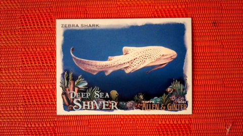 2021 Topps Allen & Ginter: #DSS-14 Zebra Shark (Deep Sea Shiver Set) Default Title